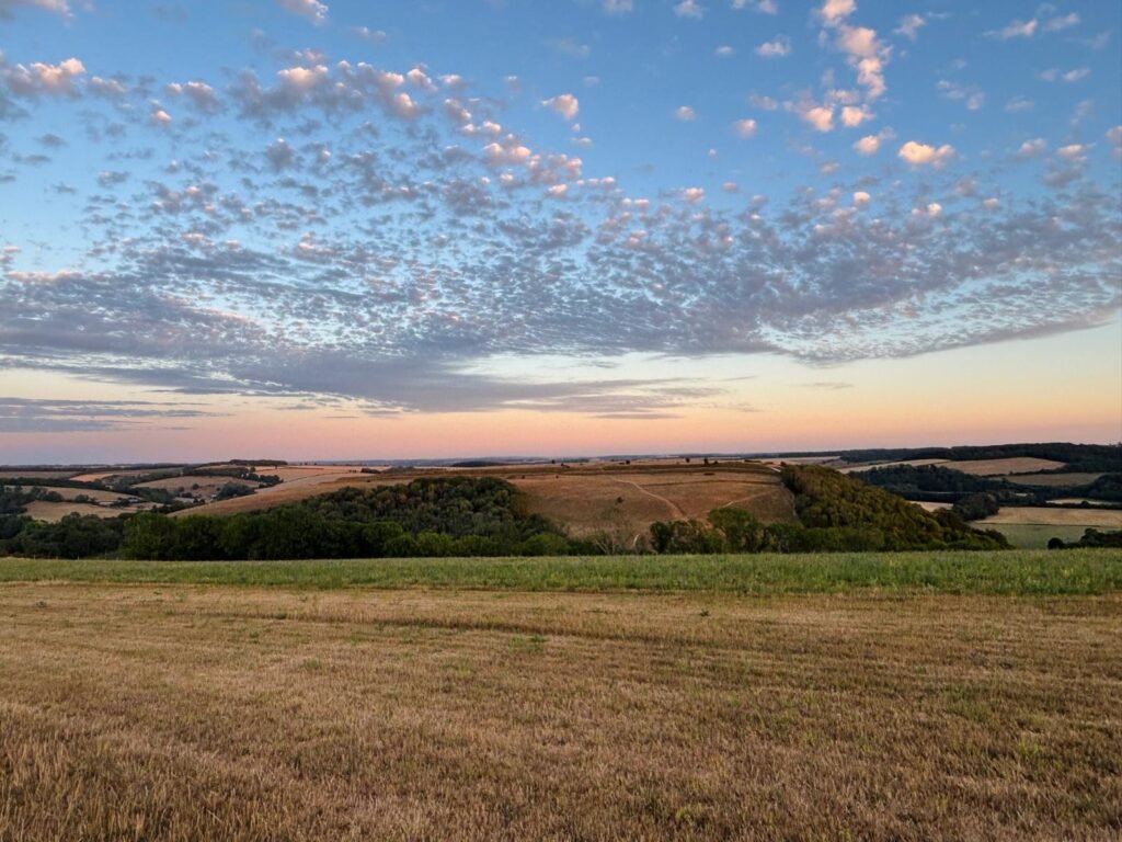 Summer colours between Hambledon Hill and Hod Hill in Dorset