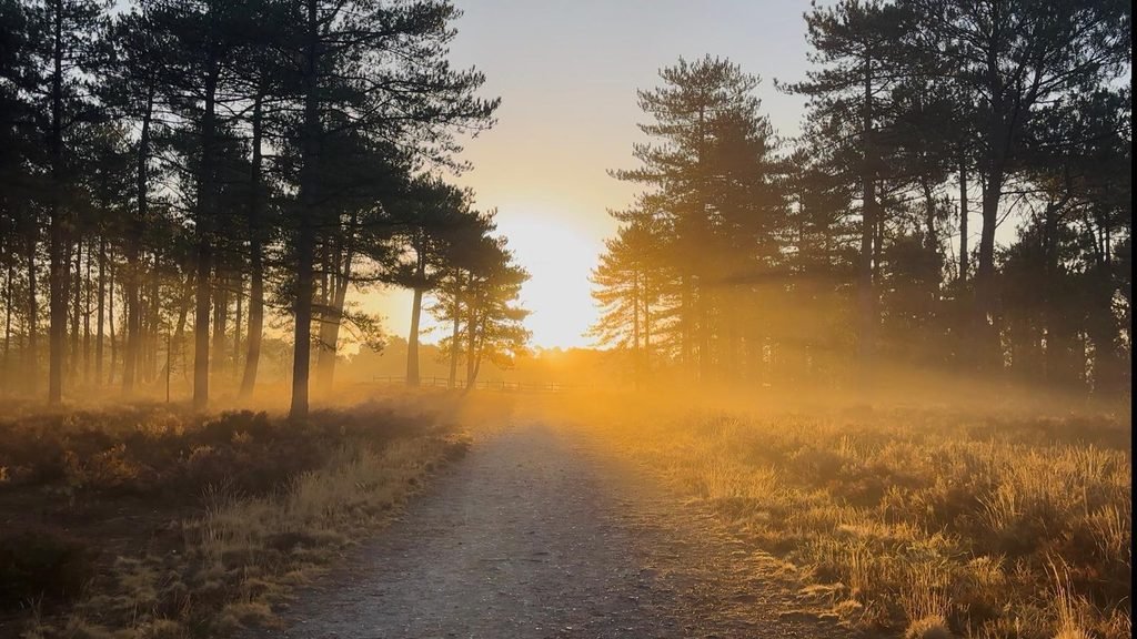 Orange sunrise over a mist-covered heathland trail