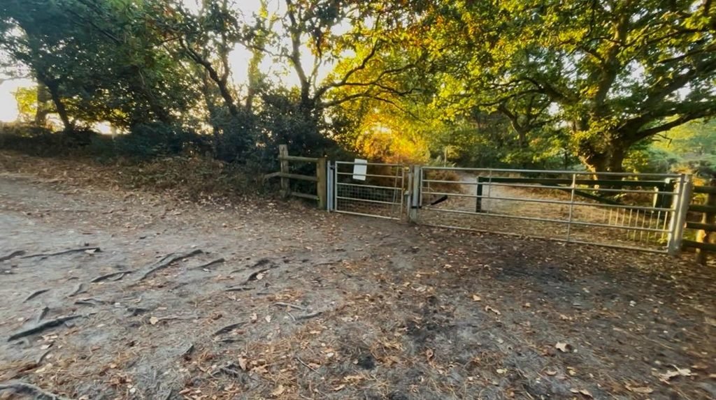 Wide gate marking the edge of Wareham Forest near the golf course