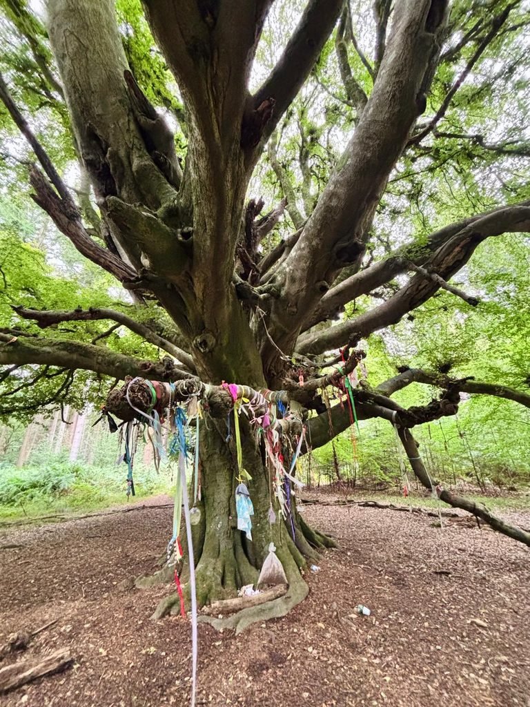 Decorated Handsel Tree covered with colourful ribbons and small trinkets