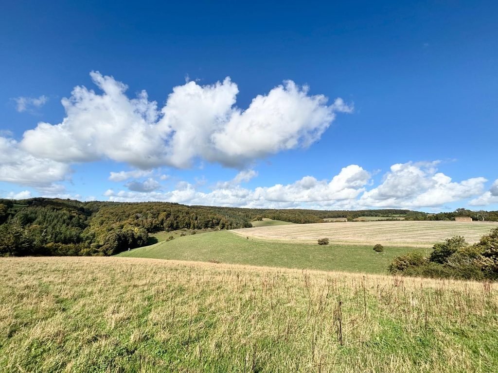 Rolling Dorset hills and fields beneath a bright blue September sky