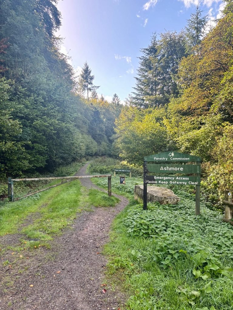 Forestry Commission entrance leading into woodland at Ashmore