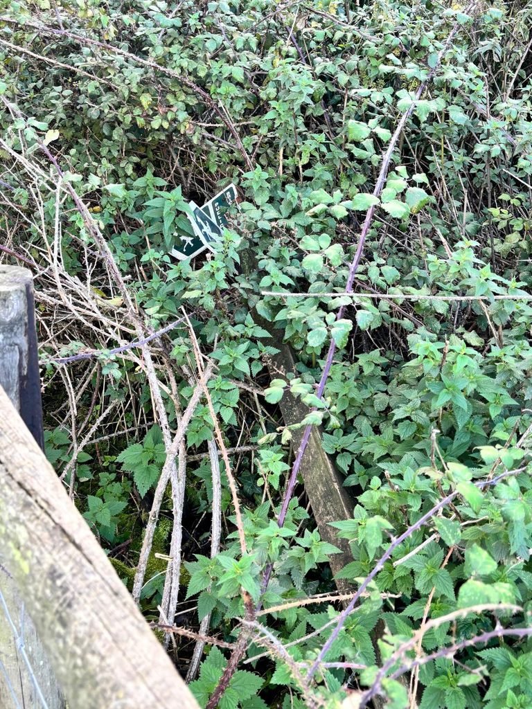 Broken public bridleway marker lying in a bramble bush
