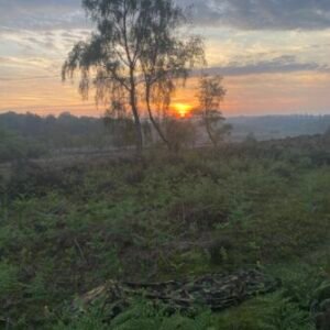 Profile photo of Dan